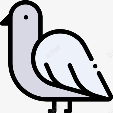 鸽子荷兰4线性颜色图标图标
