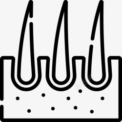 病理学皮肤病理学兽医25线性图标高清图片