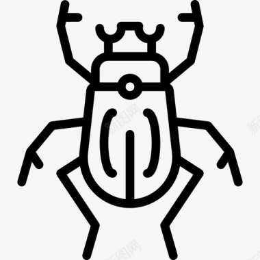 甲虫自然53直系图标图标
