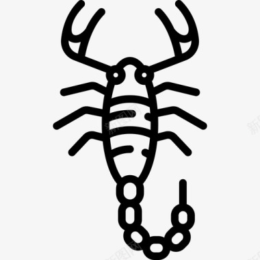 蝎子动物与自然3直系图标图标