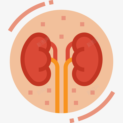 肾脏医用116扁平图标svg_新图网 https://ixintu.com 医用116 扁平 肾脏