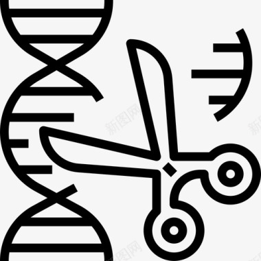 基因遗传学4直系图标图标