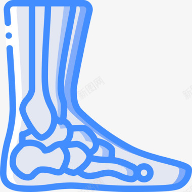 脚踝医用105蓝色图标图标