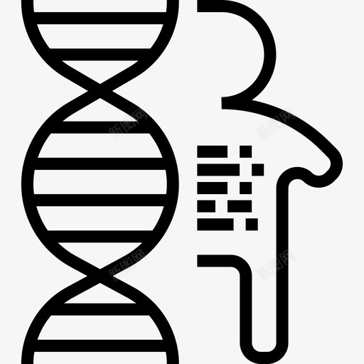 人类遗传学4直系图标svg_新图网 https://ixintu.com 人类 直系 遗传学4