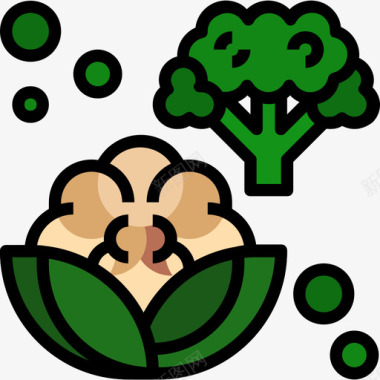 花椰菜水果和蔬菜2线形颜色图标图标