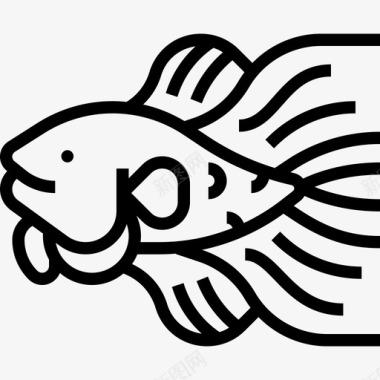 斗鱼泰国符号2直线图标图标