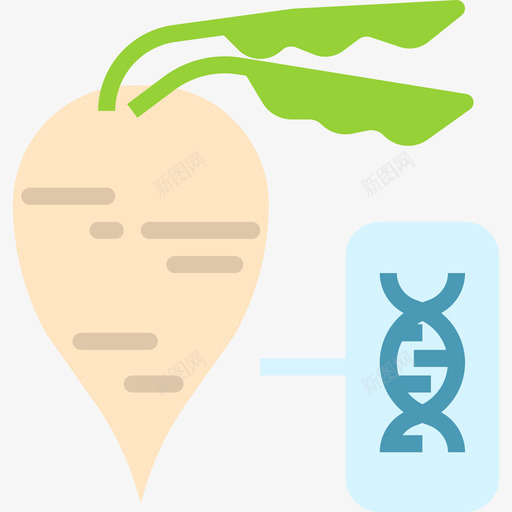 甜菜遗传学扁豆图标svg_新图网 https://ixintu.com 扁豆 甜菜 遗传学