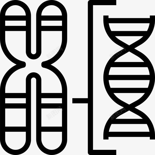 染色体遗传学4直系图标svg_新图网 https://ixintu.com 染色体 直系 遗传学4