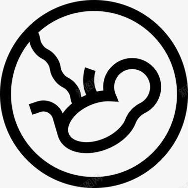 胎儿产妇13直系图标图标