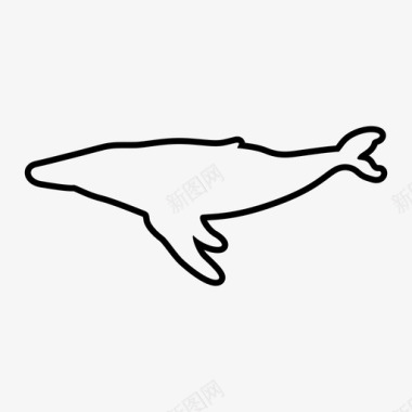 鲸鱼白鲸鲸目动物图标图标