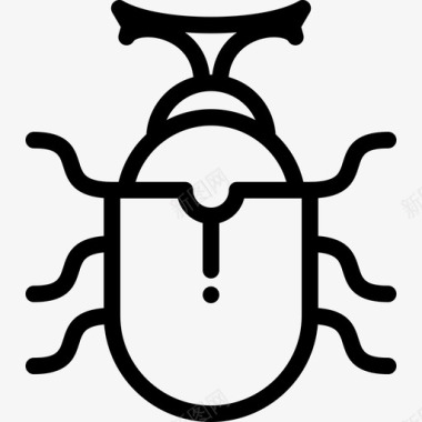 甲虫野生动物15直系图标图标