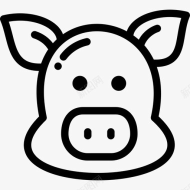 猪野生动物15直系图标图标