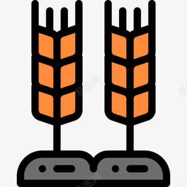 小麦秋季38线形颜色图标图标