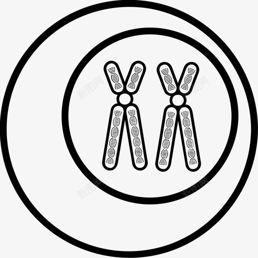 遗传细胞染色体dna图标svg_新图网 https://ixintu.com dna 染色体 遗传检测 遗传细胞