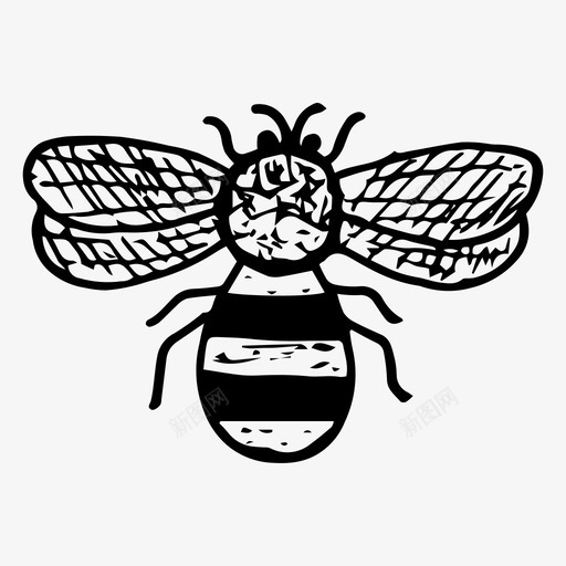 蜜蜂苍蝇昆虫图标svg_新图网 https://ixintu.com 手绘 昆虫 素描 自然 苍蝇 蜜蜂