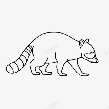 浣熊动物纽约图标图标