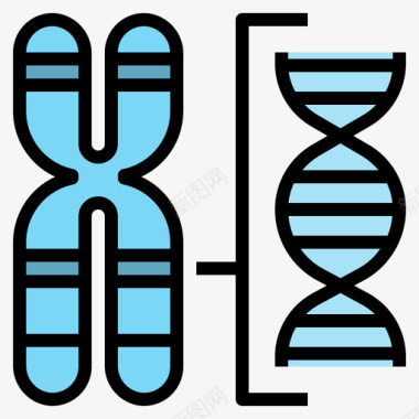 染色体遗传学2线性颜色图标图标