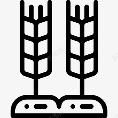小麦秋37直交图标图标