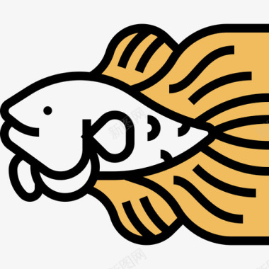 斗鱼泰国符号黄影图标图标