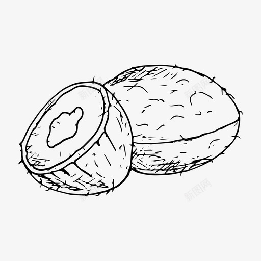 椰子食品手绘图标svg_新图网 https://ixintu.com 坚果 手绘 椰子 食品