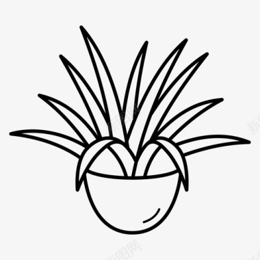 吊兰花盆盆栽图标图标
