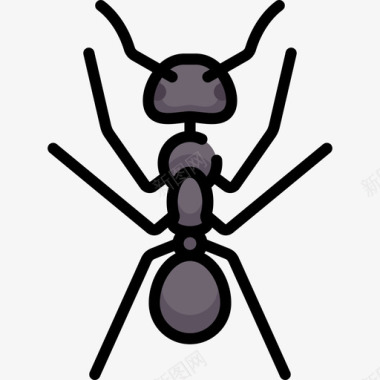 蚂蚁昆虫2线状颜色图标图标
