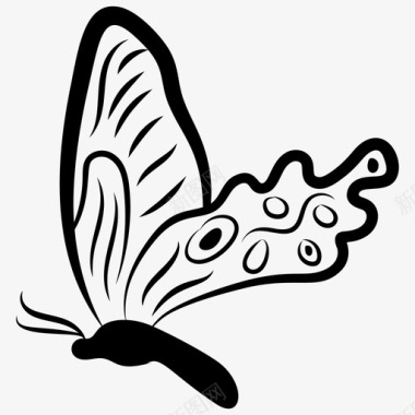 蝴蝶形状蝴蝶图案蝴蝶符号图标图标