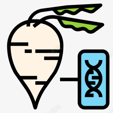 甜菜遗传学2线性颜色图标图标