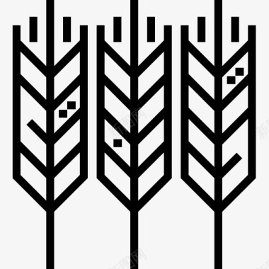 小麦秋41直交图标图标