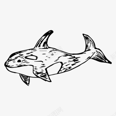 虎鲸海洋素描图标图标
