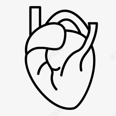 心脏解剖医疗图标图标