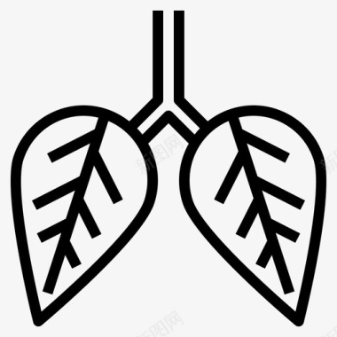 叶肺解剖学器官图标图标
