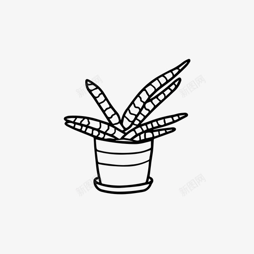 海星蛇植物室内植物蛇植物图标图标icon免费下载 图标0suvaepgq 新图网