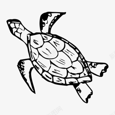 海龟海洋水下图标图标