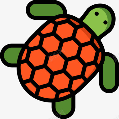 海龟热带28线形颜色图标图标