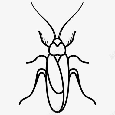 蟑螂昆虫寄生虫图标图标