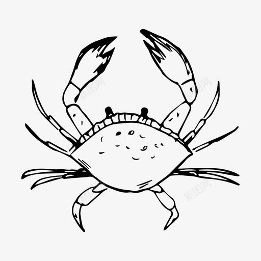 螃蟹海洋大海图标svg_新图网 https://ixintu.com 大海 水下 水下世界 海洋 螃蟹