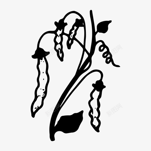 豌豆涂鸦手绘图标svg_新图网 https://ixintu.com 手绘 植物 涂鸦 素描 豌豆