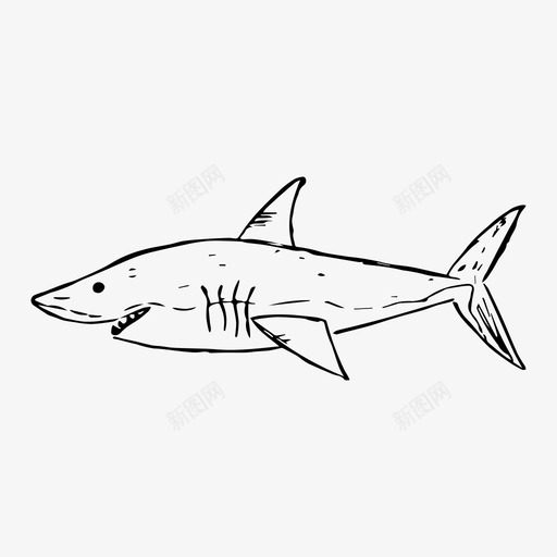 鲨鱼海洋大海图标svg_新图网 https://ixintu.com 大海 水下 水下世界 海洋 素描 鲨鱼 鲨鱼黑白
