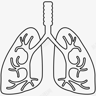 肺内脏药物图标图标