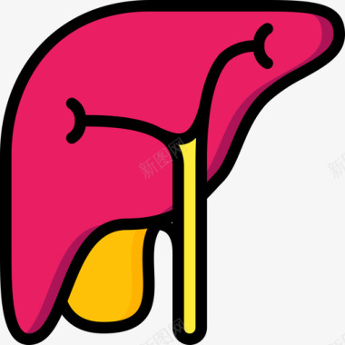 肝脏医学颜色106图标图标
