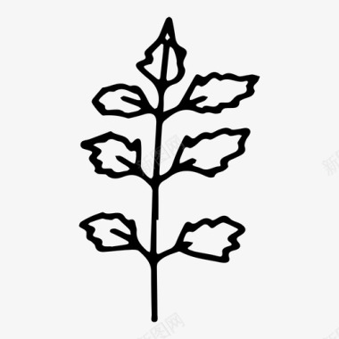 枝植物叶子图标图标