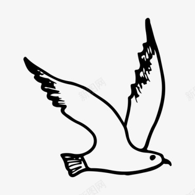 海鸥动物鸟图标图标