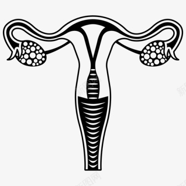 子宫妇科卵巢图标图标