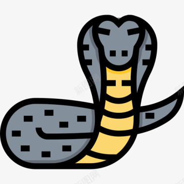 眼镜王蛇印度10线形颜色图标图标