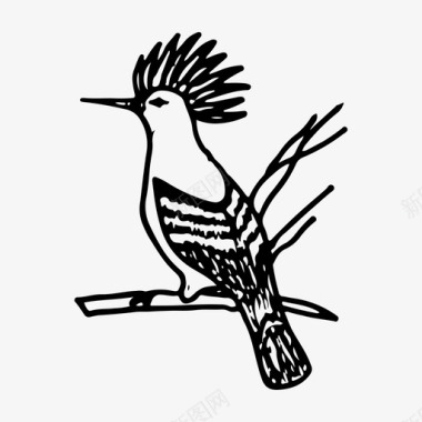 胡桃鸟手绘图标图标