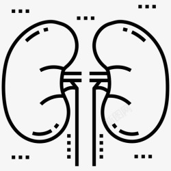 小头大身体肾脏身体部位人体生物学图标高清图片