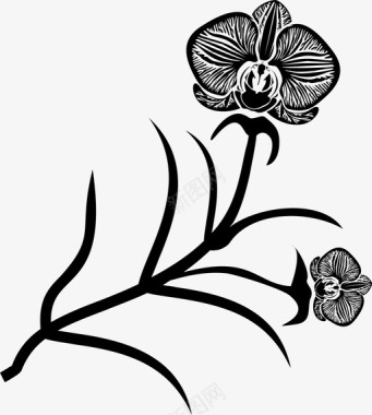 兰花美丽花园图标图标