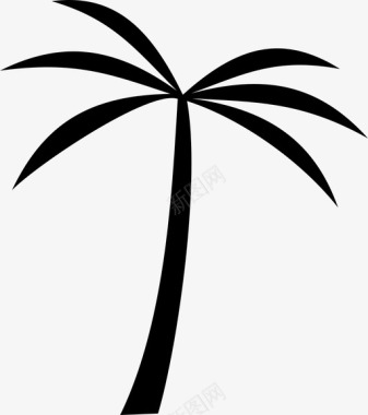 棕榈树植物图标图标