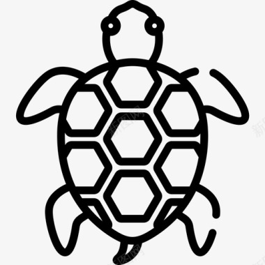 乌龟宠物店53直线型图标图标
